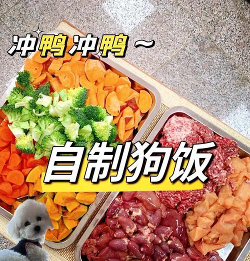 1个月的比熊每天几点喂食好？如何制定比熊的喂食时间表？