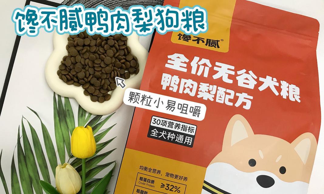 三个月大的比熊应该吃多少饲料？