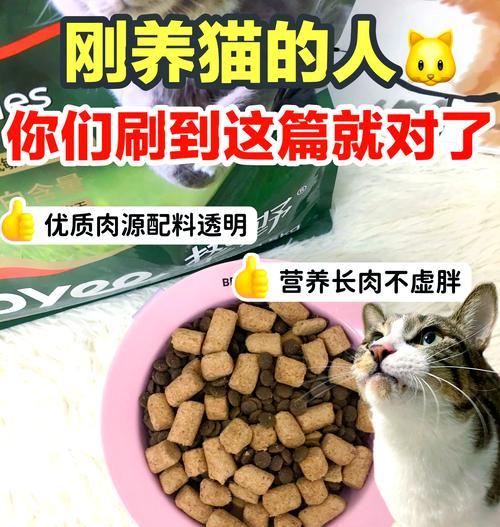 哪些冻干猫粮既美味又健康？