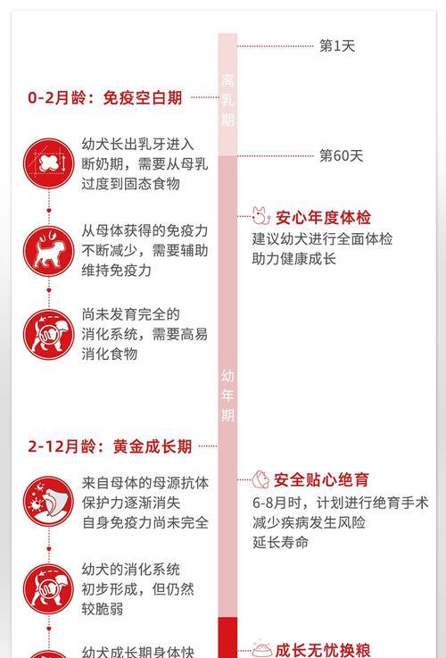 中型犬小时候怎么吃狗粮？喂食中型犬狗粮需要注意什么？