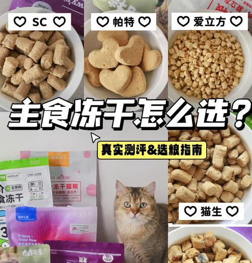 冻干猫粮与罐头猫粮有何不同？选择哪种更适合我的猫？