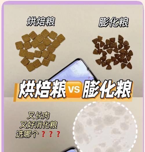 如何为比熊制作营养均衡的狗粮餐？