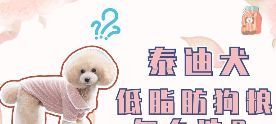 七个月泰迪犬突然拒食狗粮的解决方法？