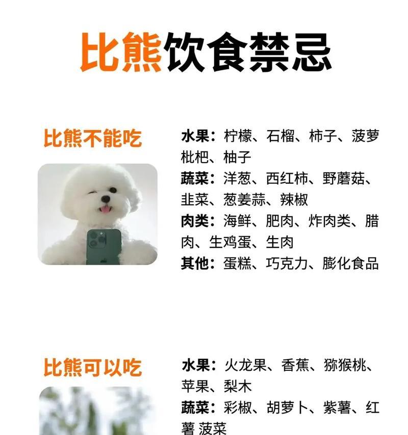 比熊犬鸡胸肉卷的做法是什么？需要哪些材料？