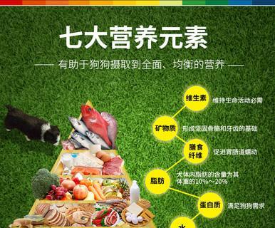 三个月大的中型犬一次喂多少狗粮？喂食频率如何安排？