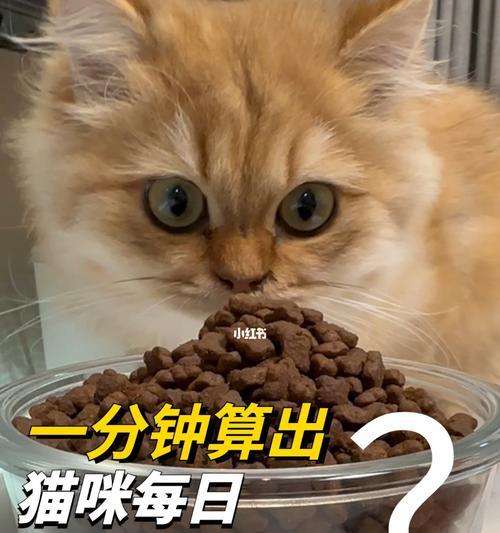 幼猫吃猫粮一次多少颗比较好呢？喂食量如何控制？