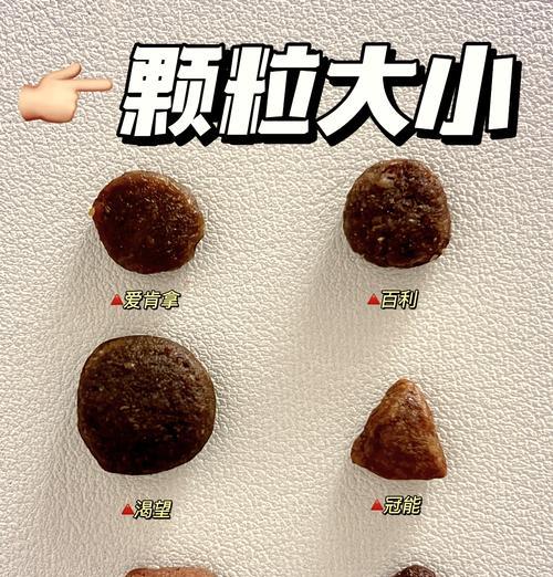 6个月大的比熊应该吃多少克鸡肉？如何平衡饮食？