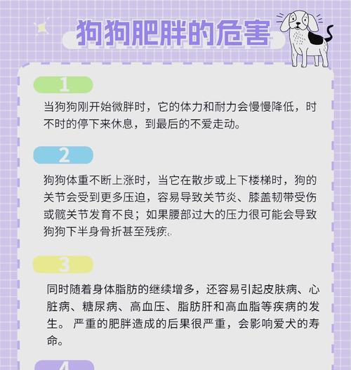 将狗粮与煮熟的肉混合喂食狗狗安全吗？这样做有什么好处或风险？