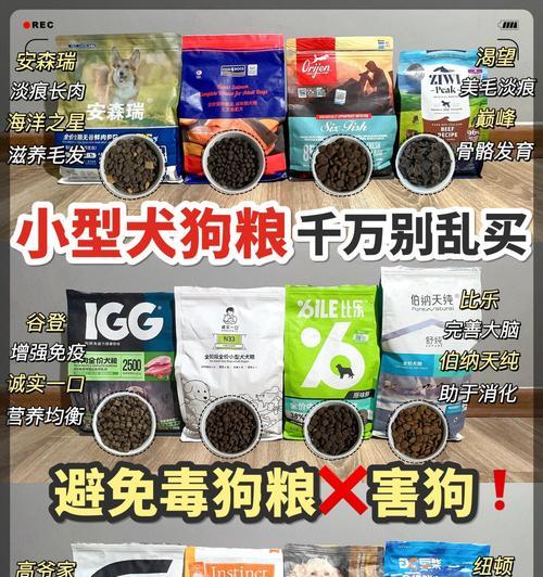 将狗粮与煮熟的肉混合喂食狗狗安全吗？这样做有什么好处或风险？