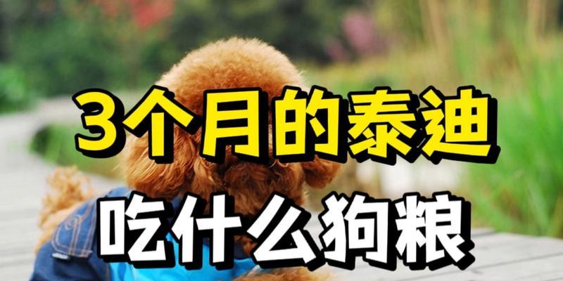 泰迪突然不吃狗粮是为什么？吃零食却正常是怎么回事？