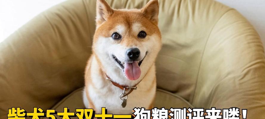 柴犬喂食指南：两个半月大一次喂多少狗粮合适？