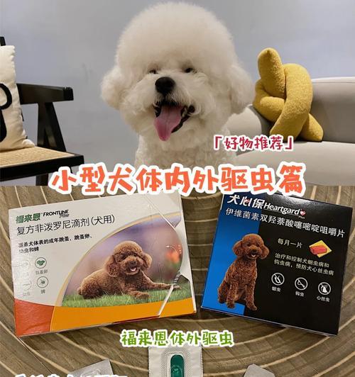 比熊幼犬驱虫后20分钟吐了怎么办？是否需要立即就医？