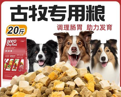 四个月古牧幼犬狗粮推荐量是多少？