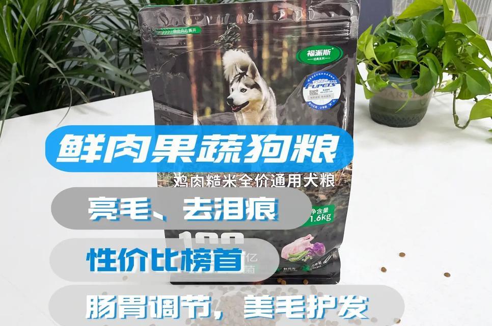 柴犬幼犬狗粮选择有哪些建议？