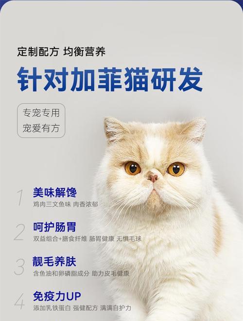 加菲猫泪痕多怎么办？哪种猫粮适合？