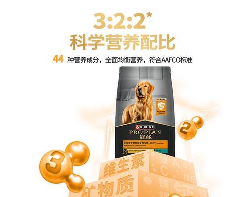 六个月中型犬每顿应该吃多少狗粮？