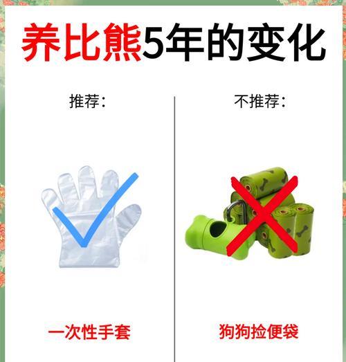 两个月龄比熊的正确饲养方法是什么？