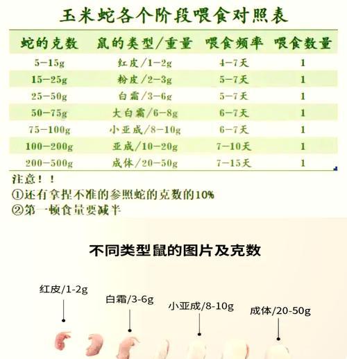 仓鼠繁殖季节是什么时候？如何判断仓鼠怀孕？