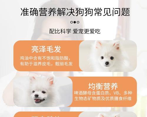 中型犬每次吃多少狗粮合适？如何控制食量？