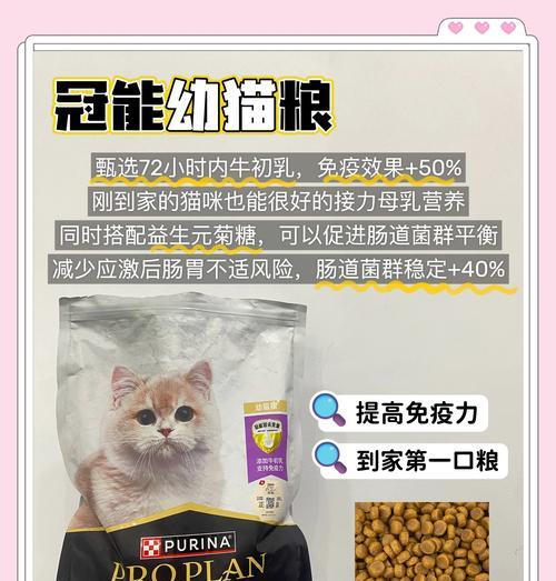 幼猫每天应该吃几次猫粮？多少次是正常的饮食频率？