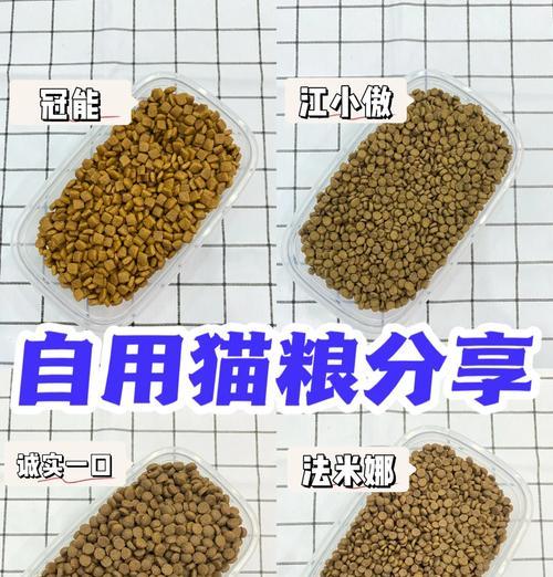 加菲猫适合吃哪些实惠又美味的猫粮？如何挑选？