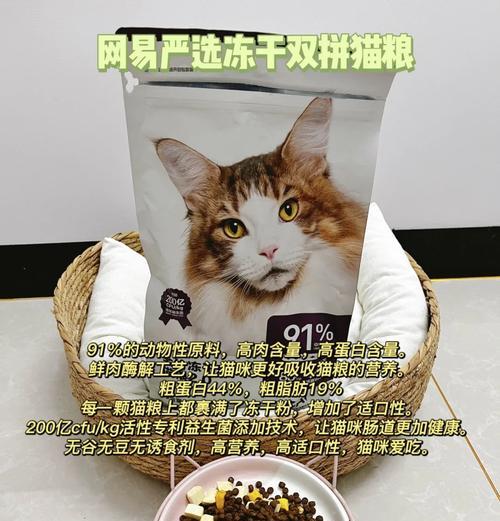 加菲猫适合吃哪些实惠又美味的猫粮？如何挑选？