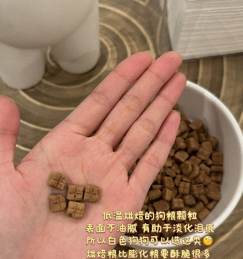 比熊幼犬每日狗粮量如何确定？