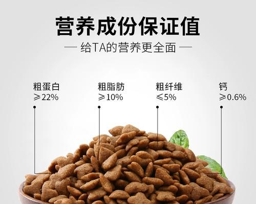 大型犬和小型犬的狗粮食量有何不同？如何正确喂食？