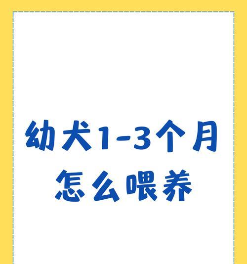 4个月狗狗一顿应该喂食多少克狗粮？如何计算合适的食量？