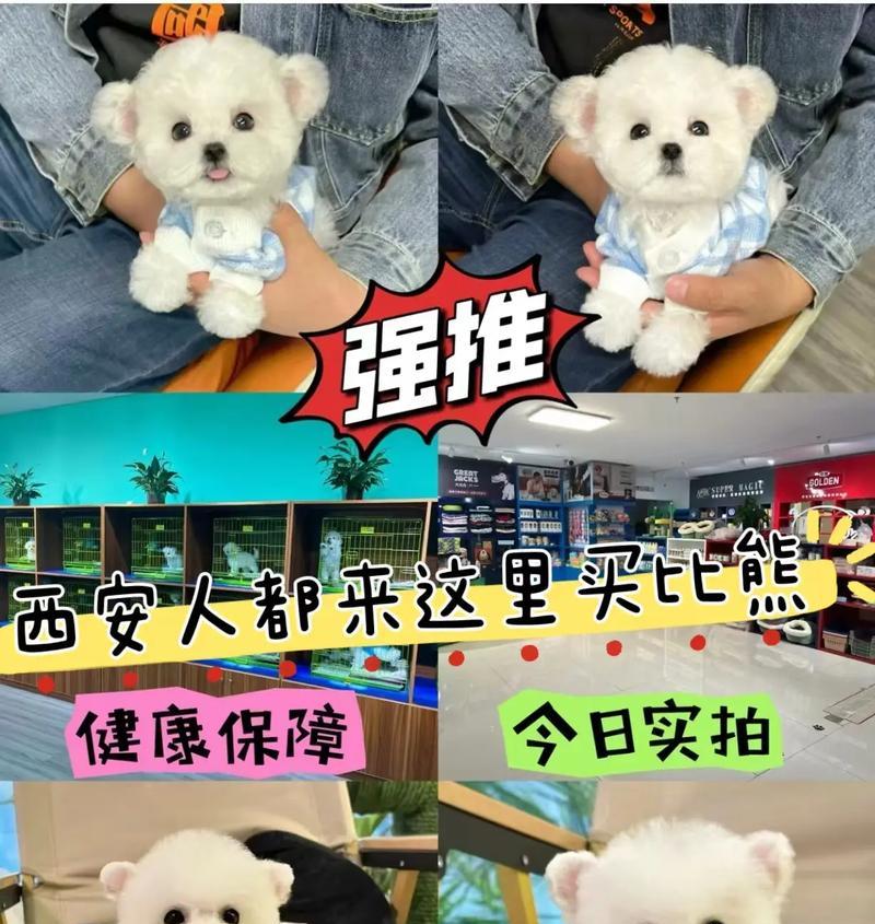 比熊吃青鱼安全吗？有无毒性？