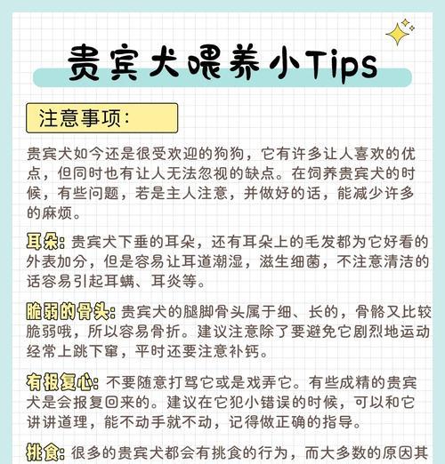 不同体型的贵宾犬有哪些特征？如何区分贵宾犬的体型？