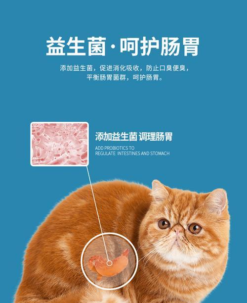 加菲猫肠胃不适时应选哪种猫粮？哪些品牌效果好？