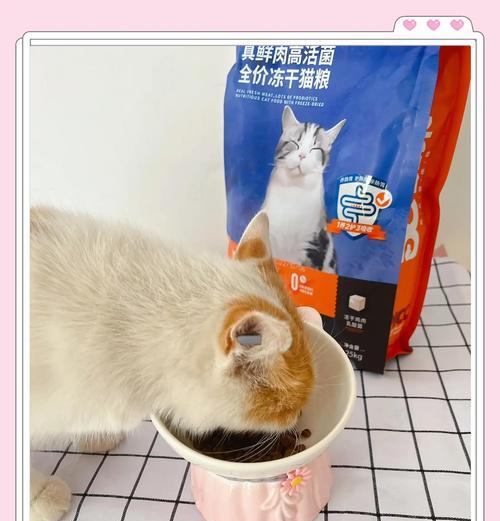 加菲猫肠胃不适时应选哪种猫粮？哪些品牌效果好？