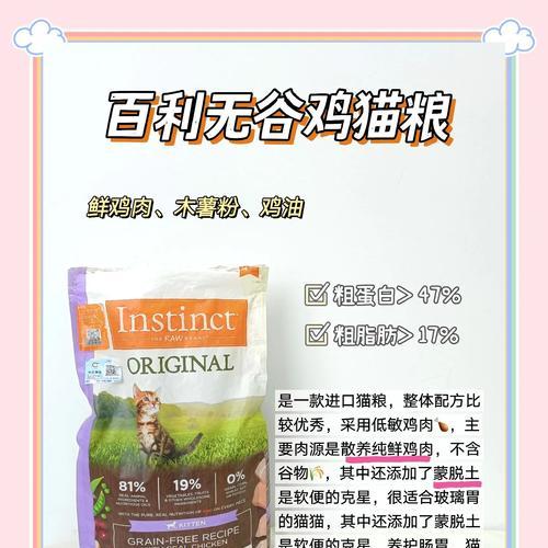 加菲猫肠胃不适时应选哪种猫粮？哪些品牌效果好？