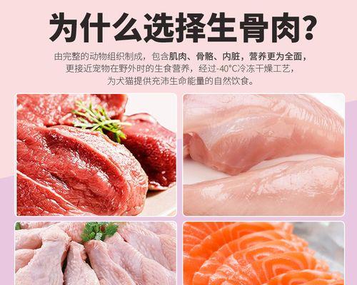 比熊犬可以吃鸡肉和鸡骨头吗？有何风险？