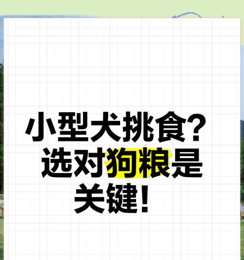 小型犬6斤狗粮能持续多久？如何判断食量是否合适？