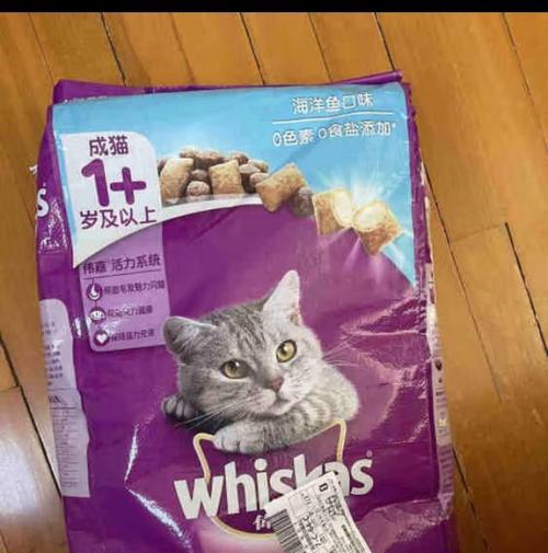 蓝猫加菲串种猫粮选择有哪些？如何喂养？