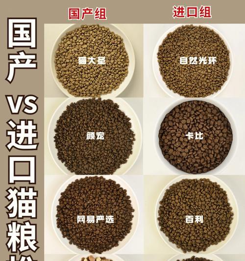 蓝猫加菲串种猫粮选择有哪些？如何喂养？