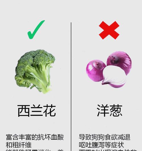 两个月小比熊的喂食量应该是多少？