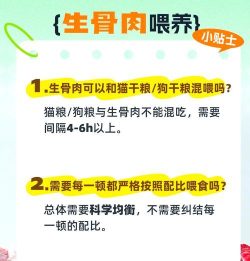 如何将人类食物转换为宠物狗粮？男主作为宠物的喂养建议？