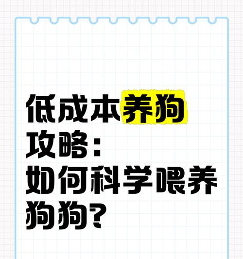 如何将人类食物转换为宠物狗粮？男主作为宠物的喂养建议？