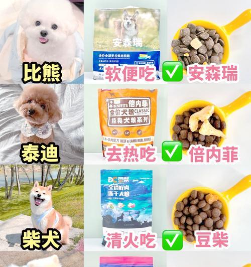 成年大中型犬每天需要多少狗粮？狗粮的量如何控制？