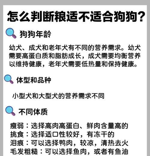 如何训练狗狗快速适应吃狗粮？有哪些有效的方法？