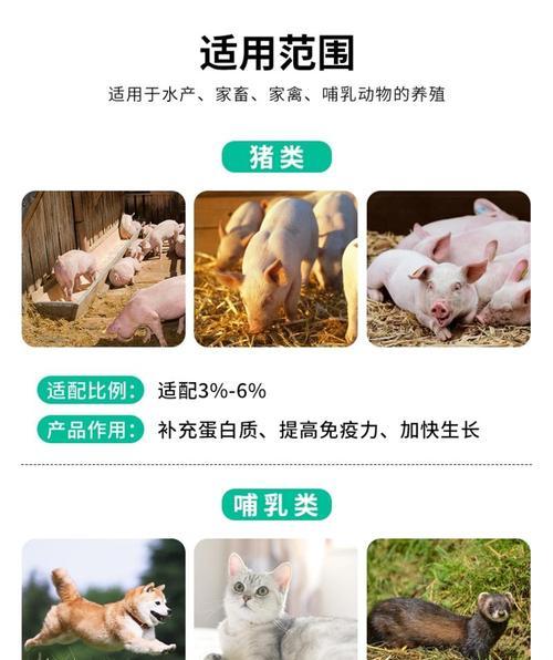 猫咪更适合吃家禽还是家畜？哪种肉类更健康？