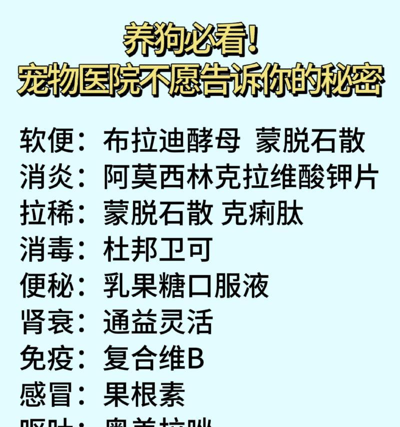 给狗做狗粮时能否添加酵母？酵母对狗狗健康有何影响？