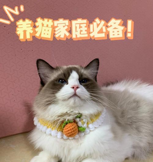 为何推荐这款猫粮给加菲猫？它有哪些独特优点？