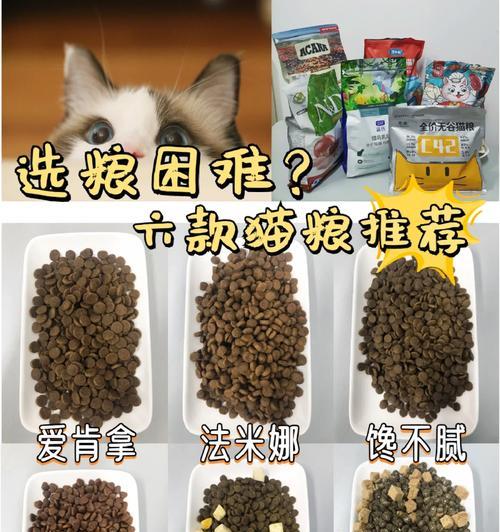 为何推荐这款猫粮给加菲猫？它有哪些独特优点？