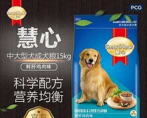 比熊幼犬吃太多会撑死吗？如何控制幼犬的食量？