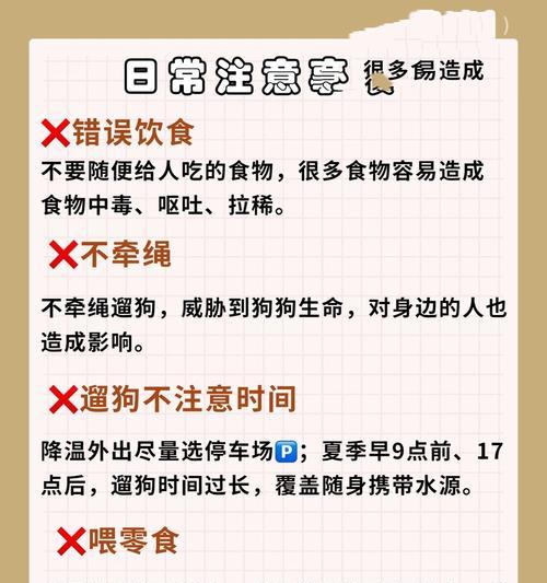 三个多月的比熊应该如何喂养？有哪些最佳的喂养方法？