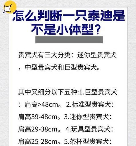 贵宾犬有哪些体型比较好的种类？